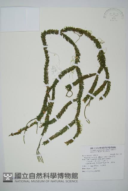 Accession Number:P011232 Collection Image, Figure 1, Total 2 Figures