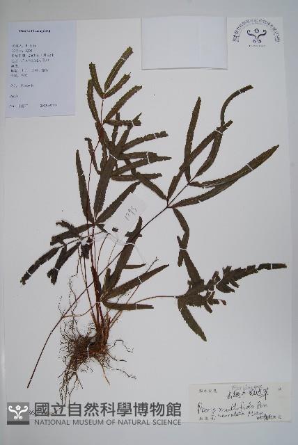 登錄號:P012862藏品圖，第1張