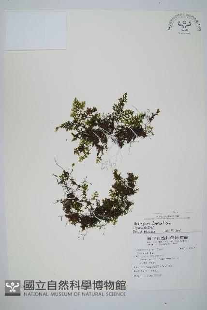 Accession Number:P011572 Collection Image, Figure 1, Total 2 Figures