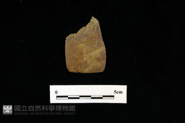 矛鏃形器藏品圖，第1張