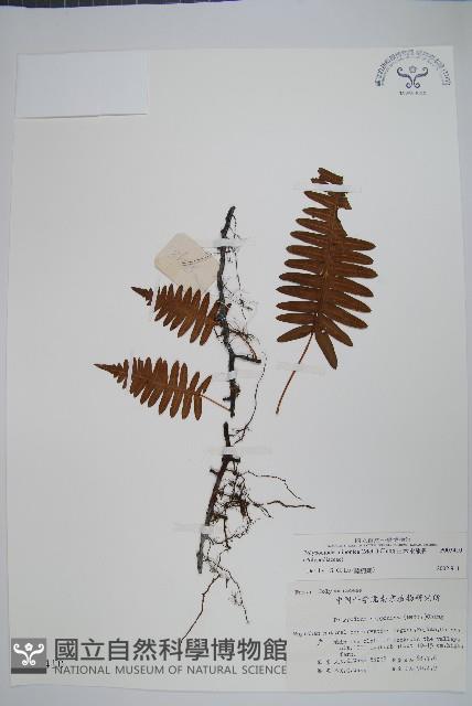 Accession Number:P003410 Collection Image, Figure 1, Total 2 Figures