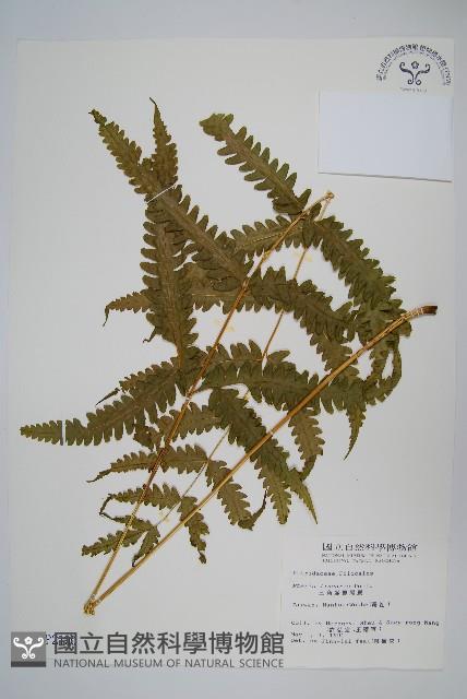 Accession Number:P002190 Collection Image, Figure 1, Total 2 Figures