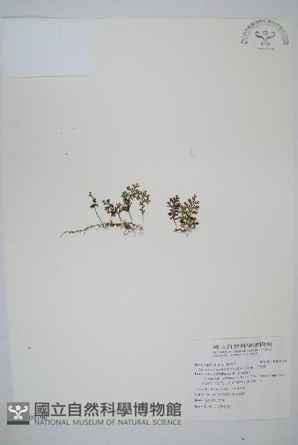 Accession Number:P009790 Collection Image, Figure 1, Total 2 Figures