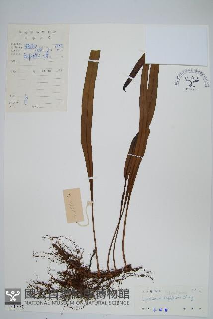 登錄號:P004330藏品圖，第1張