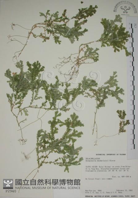 Accession Number:P002940 Collection Image