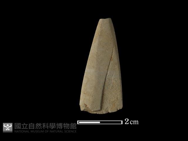 矛鏃形器藏品圖，第1張