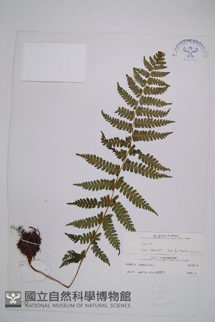 登錄號:P003870藏品圖，第1張