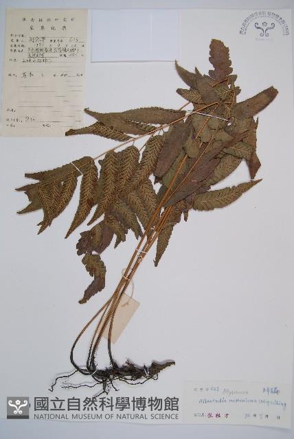 Accession Number:P005180 Collection Image, Figure 1, Total 6 Figures