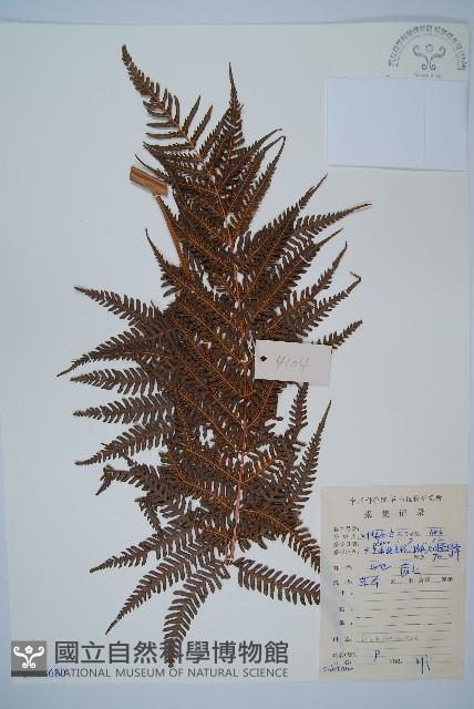 登錄號:P008680藏品圖，第1張