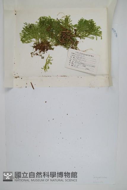 登錄號:P003780藏品圖，第1張