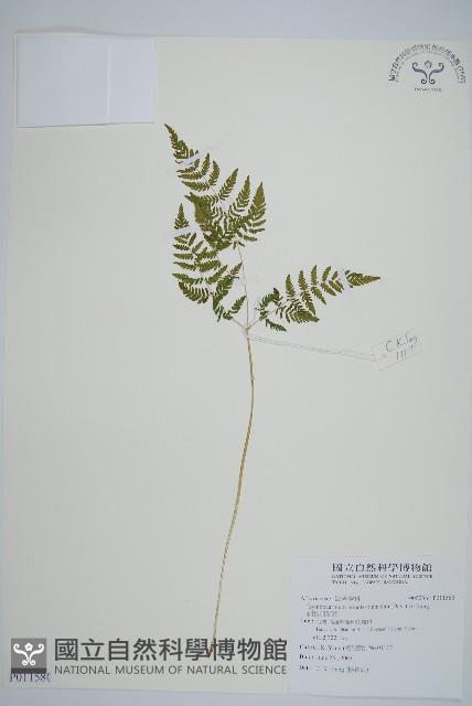 Accession Number:P011580 Collection Image, Figure 1, Total 5 Figures