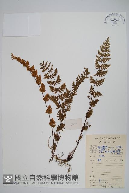 Accession Number:P008380 Collection Image, Figure 1, Total 2 Figures