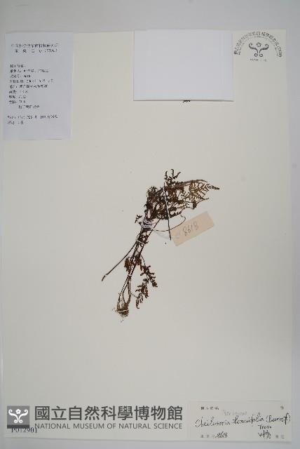 登錄號:P012901藏品圖，第1張