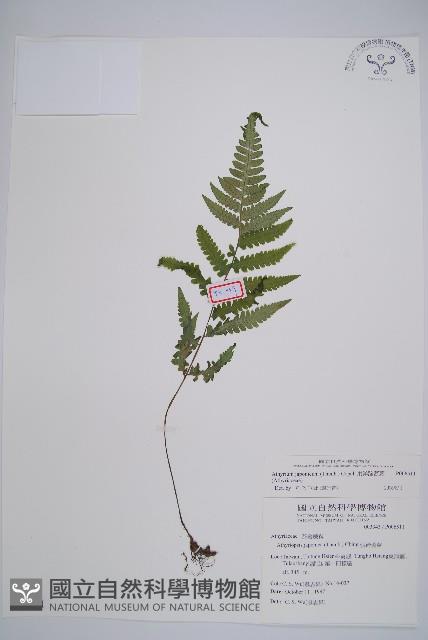 Accession Number:P006511 Collection Image, Figure 1, Total 5 Figures