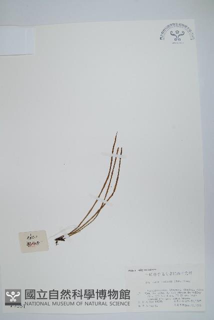 廬山瓦葦藏品圖，第1張