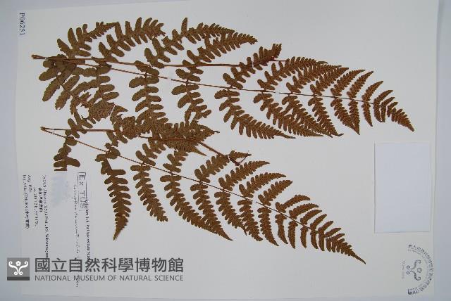 貞蕨藏品圖，第1張