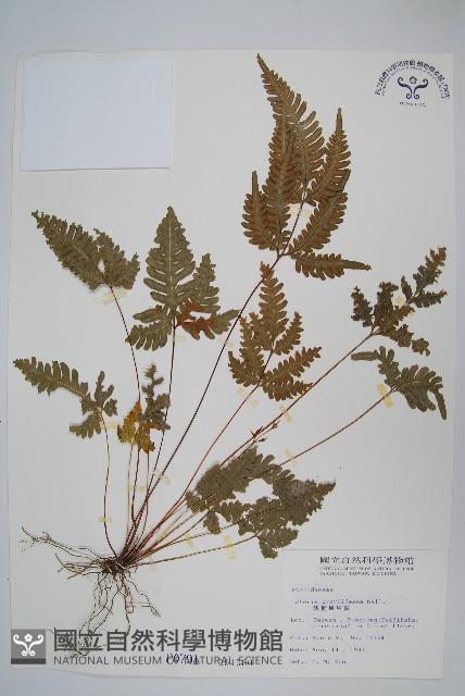 Accession Number:P000791 Collection Image, Figure 1, Total 2 Figures