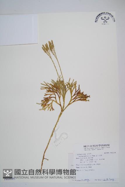 Accession Number:P010091 Collection Image, Figure 1, Total 2 Figures