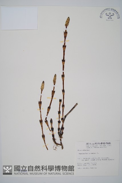 問荊藏品圖，第1張