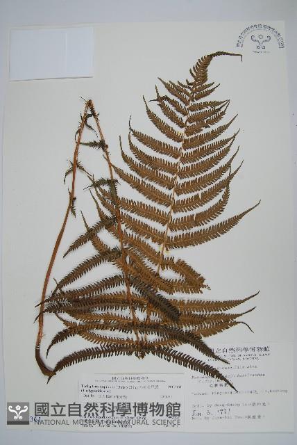 Accession Number:P002361 Collection Image, Figure 1, Total 2 Figures