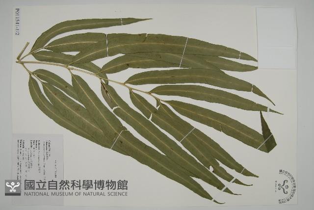 Accession Number:P011541 Collection Image, Figure 1, Total 9 Figures