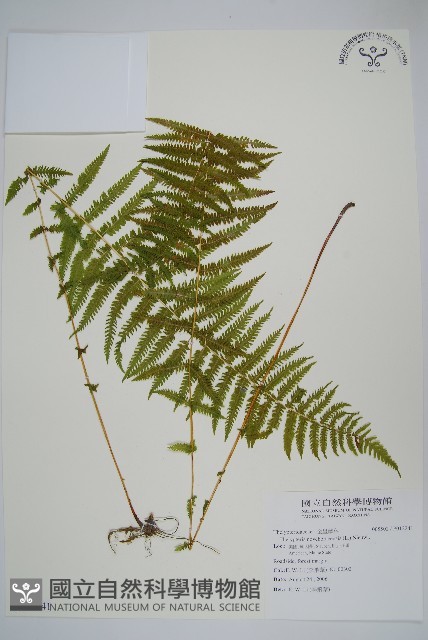 登錄號:P012241藏品圖，第1張
