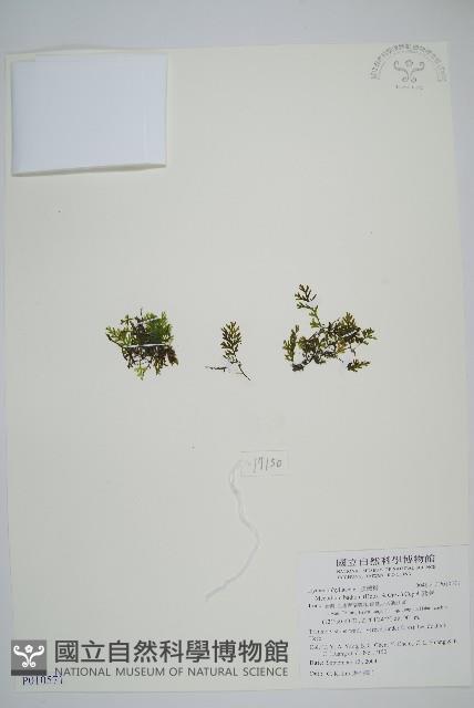 Accession Number:P010571 Collection Image, Figure 1, Total 2 Figures