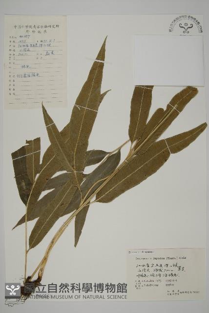 Accession Number:P006381 Collection Image, Figure 1, Total 5 Figures