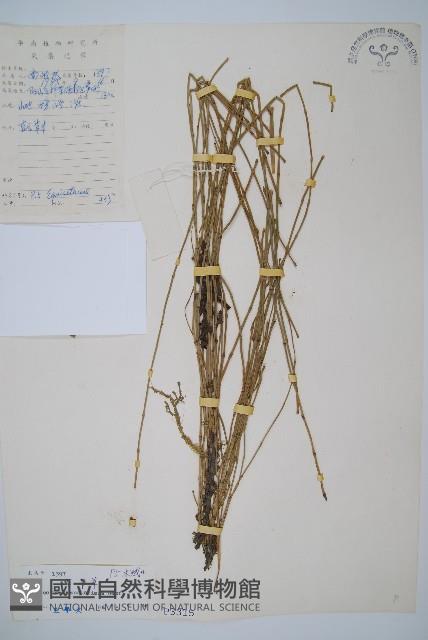 木賊藏品圖，第1張