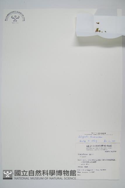 萬年松藏品圖，第1張