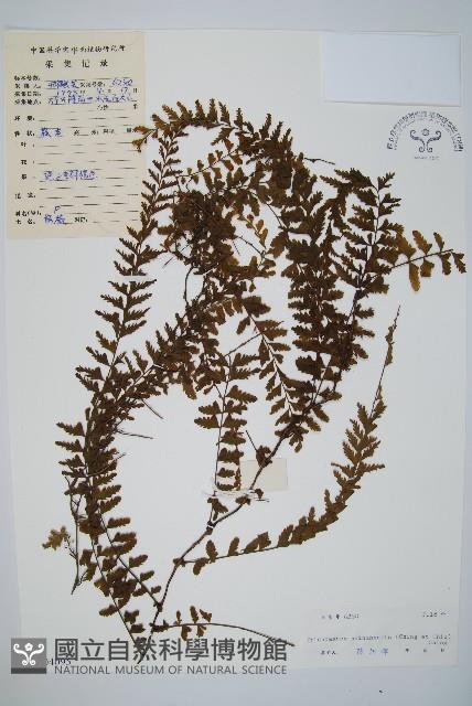 Accession Number:P004095 Collection Image, Figure 1, Total 2 Figures