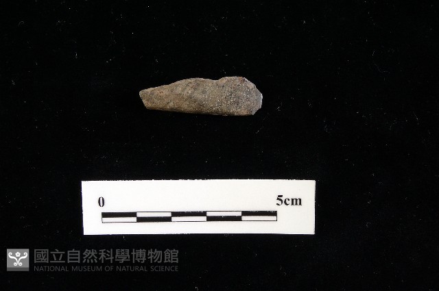 磨製石器藏品圖，第1張