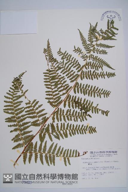 Accession Number:P000435 Collection Image, Figure 1, Total 5 Figures