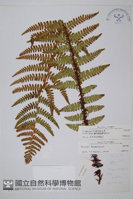 Accession Number:P003765 Collection Image, Figure 1, Total 2 Figures