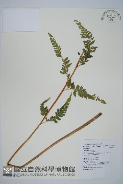 Accession Number:P010945 Collection Image, Figure 1, Total 15 Figures