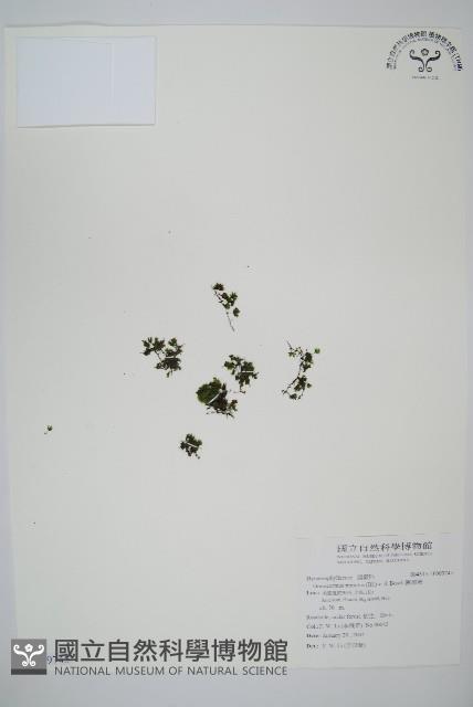 Accession Number:P009745 Collection Image, Figure 1, Total 2 Figures