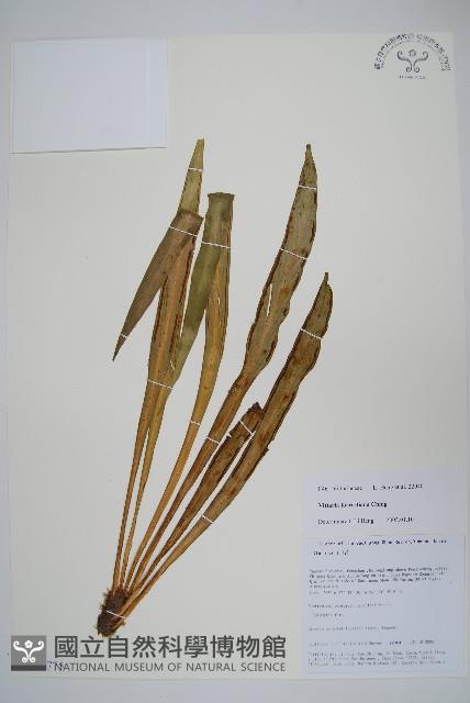 登錄號:P010775藏品圖，第1張