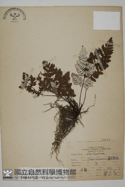 Accession Number:P008075 Collection Image, Figure 1, Total 4 Figures