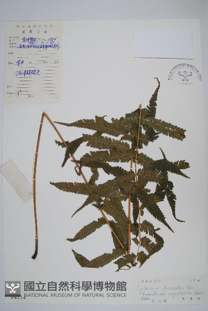 登錄號:P004114藏品圖，第1張