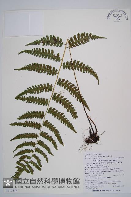 Accession Number:P011514 Collection Image, Figure 1, Total 6 Figures