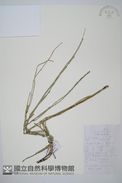 木賊藏品圖，第1張