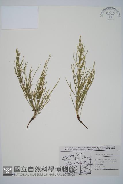 問荊藏品圖，第1張