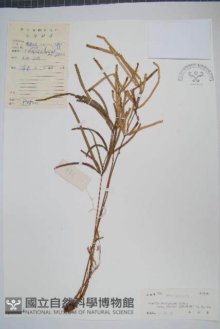 登錄號:P005544藏品圖，第1張