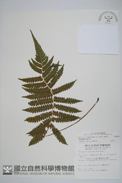 Accession Number:P002584 Collection Image, Figure 1, Total 2 Figures