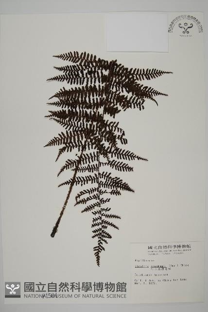 Accession Number:P001584 Collection Image, Figure 1, Total 4 Figures