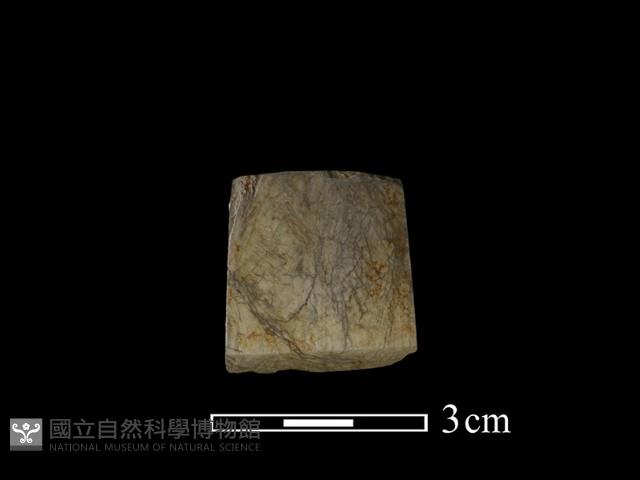 錛鑿形器藏品圖，第2張