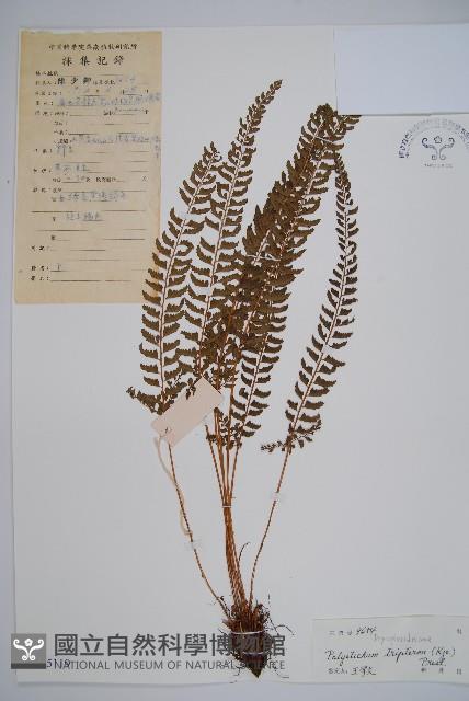 Accession Number:P005119 Collection Image, Figure 1, Total 2 Figures