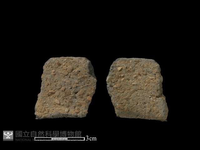 陶片藏品圖，第1張