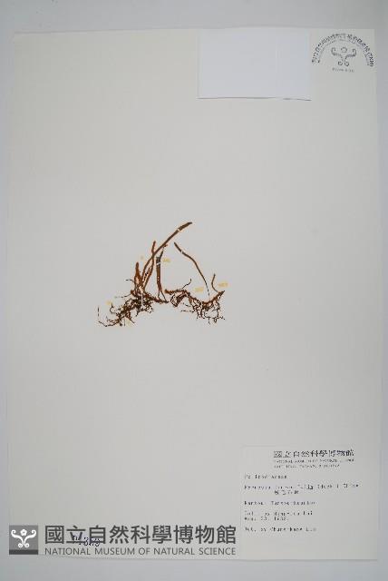 Accession Number:P001359 Collection Image, Figure 1, Total 2 Figures