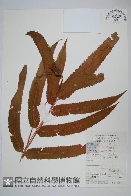 Accession Number:P005999 Collection Image, Figure 1, Total 2 Figures